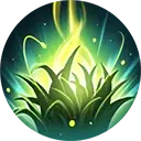 Firefly Fields